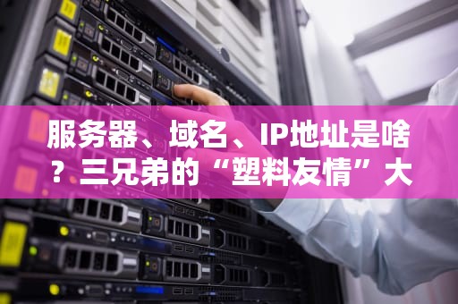 服务器、域名、IP地址是啥？三兄弟的“塑料友情”大揭秘！