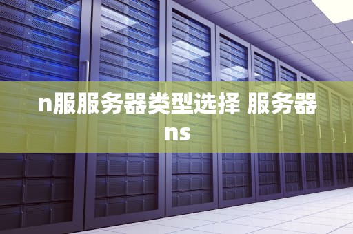 n服服务器类型选择 服务器ns