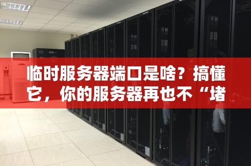 临时服务器端口是啥？搞懂它，你的服务器再也不“堵车”！