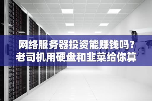 网络服务器投资能赚钱吗？老司机用硬盘和韭菜给你算笔明白账！