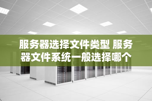 服务器选择文件类型 服务器文件系统一般选择哪个