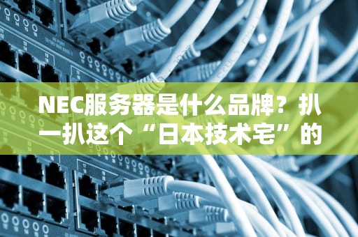 NEC服务器是什么品牌？扒一扒这个“日本技术宅”的硬核实力！