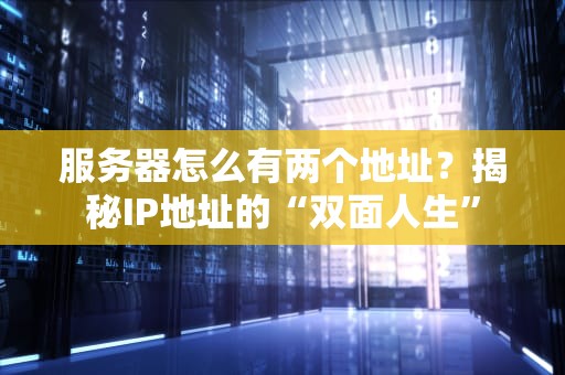 服务器怎么有两个地址？揭秘IP地址的“双面人生”