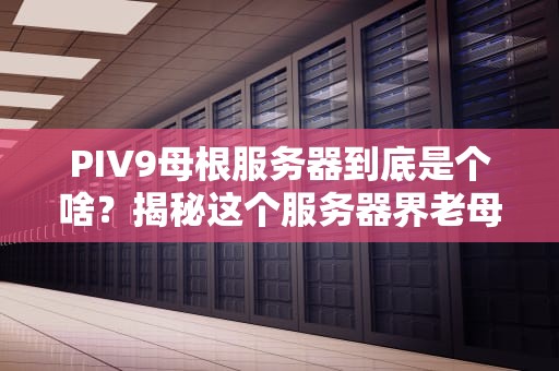 PIV9母根服务器到底是个啥？揭秘这个服务器界老母亲的神奇作用！