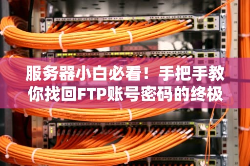 服务器小白必看！手把手教你找回FTP账号密码的终极指南