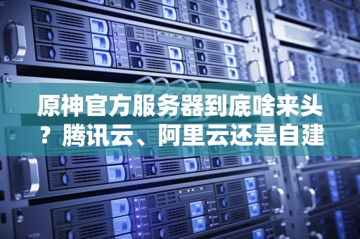 原神官方服务器到底啥来头？腾讯云、阿里云还是自建？深度扒皮米哈游的“提瓦特基建”！