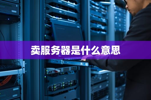 卖服务器是什么意思
