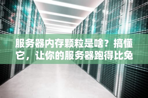 服务器内存颗粒是啥？搞懂它，让你的服务器跑得比兔子还快！
