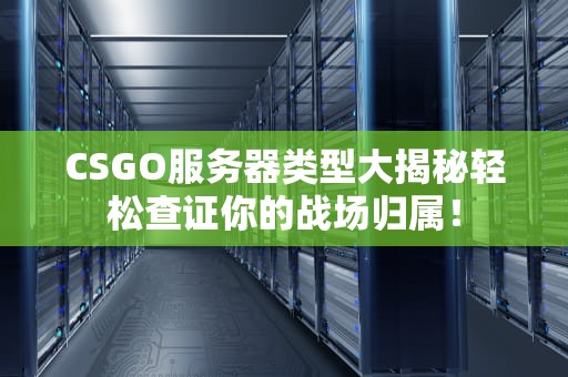 CSGO服务器类型大揭秘轻松查证你的战场归属！