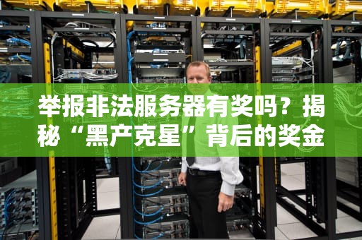 举报非法服务器有奖吗？揭秘“黑产克星”背后的奖金与正义感！