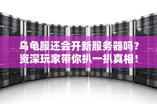 乌龟服还会开新服务器吗？资深玩家带你扒一扒真相！