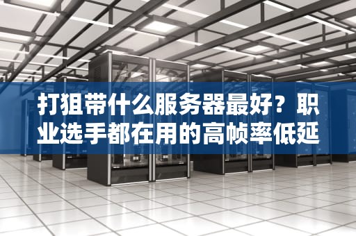 打狙带什么服务器最好？职业选手都在用的高帧率低延迟配置指南！