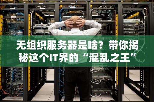 无组织服务器是啥？带你揭秘这个IT界的“混乱之王”！