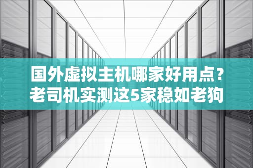 国外虚拟主机哪家好用点？老司机实测这5家稳如老狗！