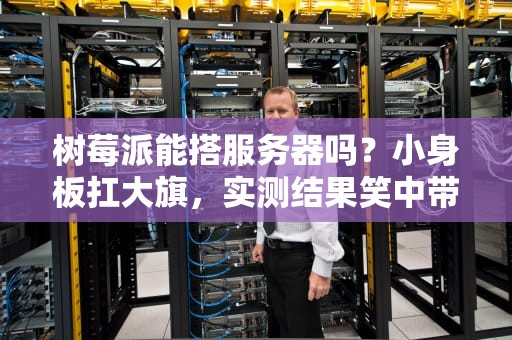 树莓派能搭服务器吗？小身板扛大旗，实测结果笑中带泪！