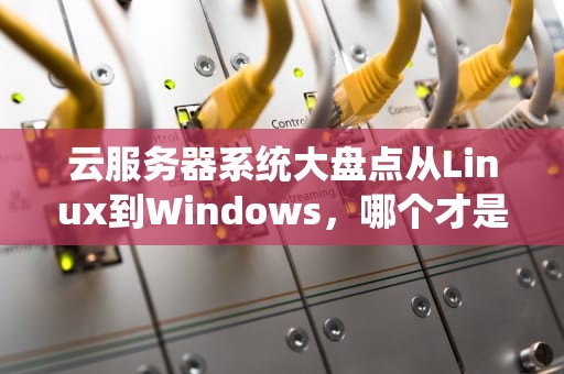 云服务器系统大盘点从Linux到Windows，哪个才是你的“真命天子”？