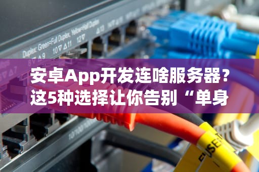 安卓App开发连啥服务器？这5种选择让你告别“单身”编程！