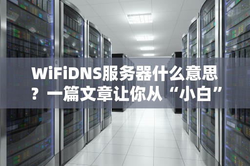 WiFiDNS服务器什么意思？一篇文章让你从“小白”变“大神”！