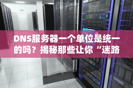 DNS服务器一个单位是统一的吗？揭秘那些让你“迷路”的域名解析内幕！