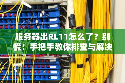 服务器出RL11怎么了？别慌！手把手教你排查与解决（附专业测评干货）
