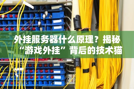 外挂服务器什么原理？揭秘“游戏外挂”背后的技术猫腻！