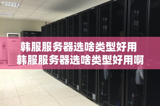 韩服服务器选啥类型好用 韩服服务器选啥类型好用啊