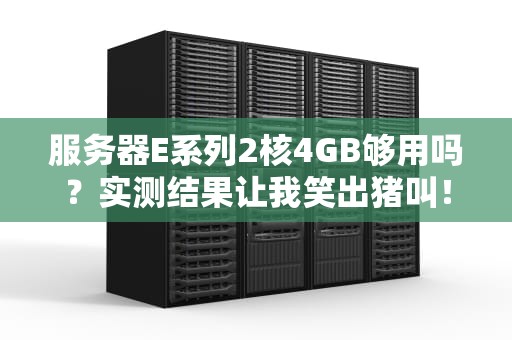 服务器E系列2核4GB够用吗？实测结果让我笑出猪叫！