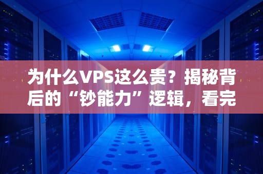 为什么VPS这么贵？揭秘背后的“钞能力”逻辑，看完我默默续费了…