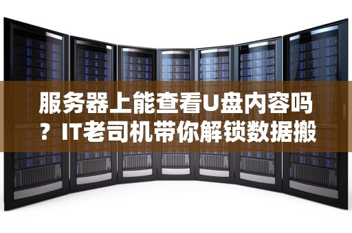 服务器上能查看U盘内容吗？IT老司机带你解锁数据搬运骚操作！