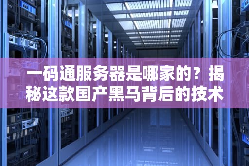 一码通服务器是哪家的？揭秘这款国产黑马背后的技术实力！