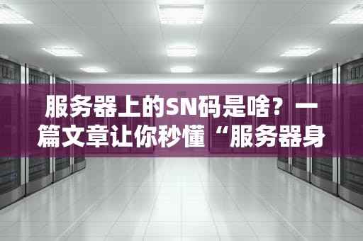 服务器上的SN码是啥？一篇文章让你秒懂“服务器身份证”的奥秘！