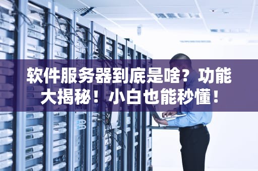 软件服务器到底是啥？功能大揭秘！小白也能秒懂！
