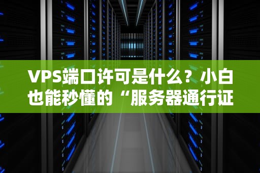 VPS端口许可是什么？小白也能秒懂的“服务器通行证”指南！