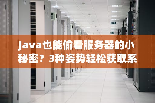 Java也能偷看服务器的小秘密？3种姿势轻松获取系统信息！
