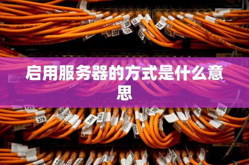 启用服务器的方式是什么意思