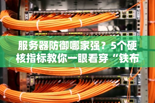 服务器防御哪家强？5个硬核指标教你一眼看穿“铁布衫”
