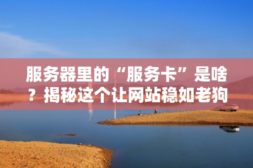 服务器里的“服务卡”是啥？揭秘这个让网站稳如老狗的幕后英雄！