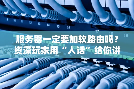 服务器一定要加软路由吗？资深玩家用“人话”给你讲明白！