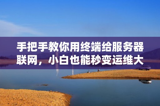 手把手教你用终端给服务器联网，小白也能秒变运维大神！
