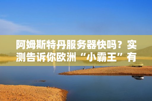 阿姆斯特丹服务器快吗？实测告诉你欧洲“小霸王”有多猛！