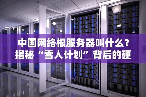 中国网络根服务器叫什么？揭秘“雪人计划”背后的硬核科技！