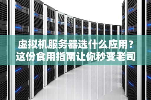 虚拟机服务器选什么应用？这份食用指南让你秒变老司机！