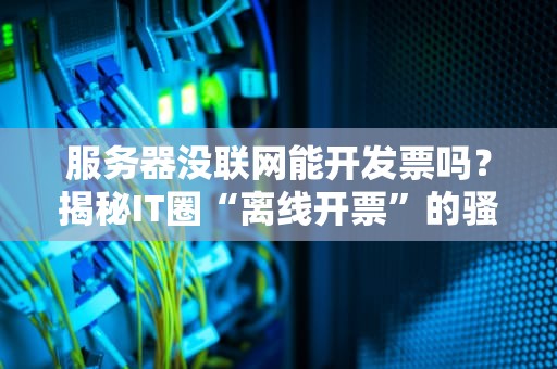 服务器没联网能开发票吗？揭秘IT圈“离线开票”的骚操作！