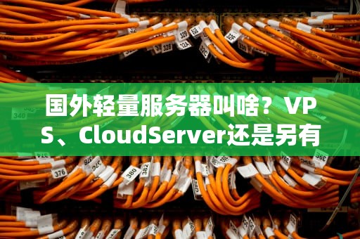国外轻量服务器叫啥？VPS、CloudServer还是另有玄机？老司机带你飙车解析！