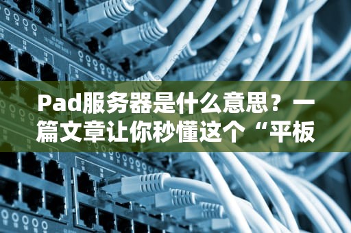 Pad服务器是什么意思？一篇文章让你秒懂这个“平板式”黑科技！