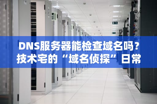 DNS服务器能检查域名吗？技术宅的“域名侦探”日常大揭秘！