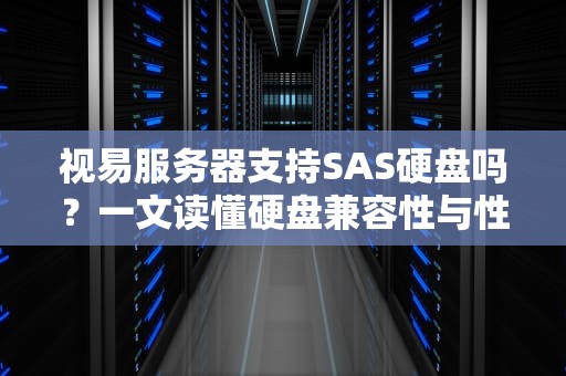 视易服务器支持SAS硬盘吗？一文读懂硬盘兼容性与性能玄学！