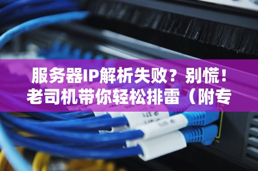 服务器IP解析失败？别慌！老司机带你轻松排雷（附专业解决方案）