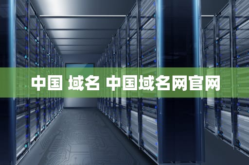 中国 域名 中国域名网官网