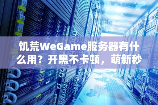 饥荒WeGame服务器有什么用？开黑不卡顿，萌新秒变大佬的终极指南！